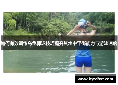 如何有效训练乌龟仰泳技巧提升其水中平衡能力与游泳速度