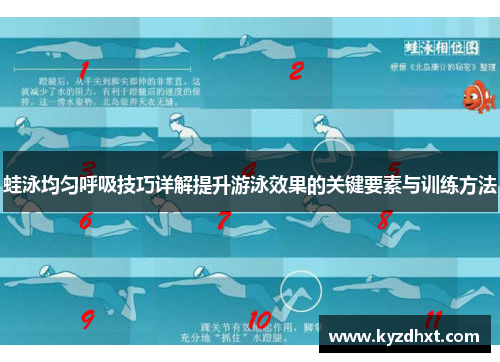 蛙泳均匀呼吸技巧详解提升游泳效果的关键要素与训练方法